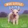 Cover of: Wee Little Lamb