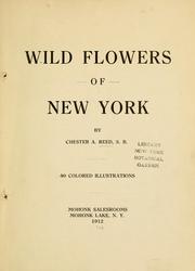 Cover of: Wild flowers of New York by Chester A. Reed