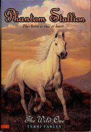 Phantom Stallion: The Wild One by Terri Farley
