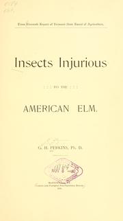 Cover of: Insects injurious to the American elm.