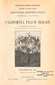 Cover of: California peach blight