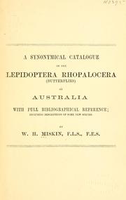 Cover of: Synonymical catalogue of the Lepidoptera rhopalocera (Butterflies) of Australia by W. H. Miskin