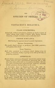 Cover of: [An illustrated, enlarged, and English edition of Lamarck's Species of shells: comprising the whole of the recent additions in Deshayes' last French edition, with numerous species not noticed by that naturalist, accompanied by accurate delineations of almost all the shells described, and forming the third edition of the Index testaceologicus, with illustrations by W. Wood]