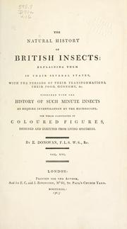 Cover of: Natural history of British insects ... by Edward Donovan