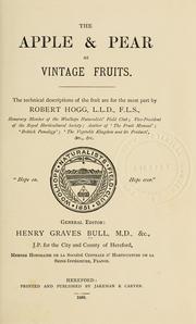 The Apple & pear as vintage fruits