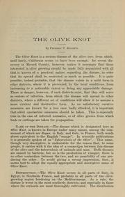 Cover of: The olive knot