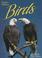 Cover of: Florida's fabulous birds