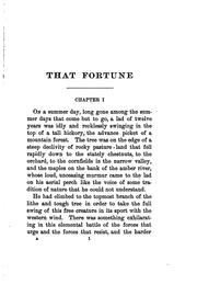 Cover of: That Fortune: A Novel