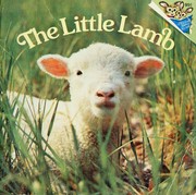 Cover of: The little lamb