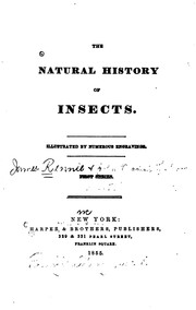 Cover of: The Natural History of Insects: Illustrated by Numerous Engravings