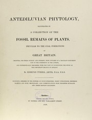 Cover of: Antediluvian Phytology: Illustrated by a Collection of the Fossil Remains of Plants Peculiar to ...