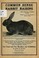 Cover of: Common sense rabbit raising ...