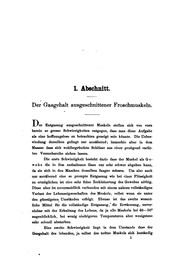 Cover of: Untersuchungen Über den Stoffwechsel der Muskeln, ausgehend vom Gaswechsel derselben