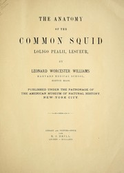 Cover of: The anatomy of the common squid, Loligo pealii: Lesueur