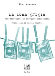 La zona grigia by Nino Amadore