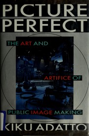 Cover of: Picture perfect: theart and artifice of public image making