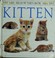 Cover of: Kitten