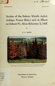 Studies of the balsam woolly aphid, Adelges Piceae (Ratz.) (Homoptera: Phylloxeridae) and its effects on balsam fir, Abies Bassamea (L.) Mill by R. E. Balch