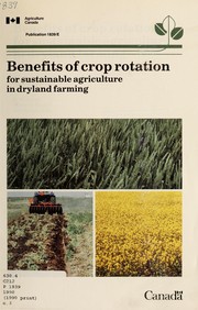 Benefits of crop rotation for sustainable agriculture in dryland farming