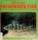 Cover of: Discovering freshwater fish