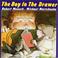 Cover of: The boy in the drawer