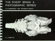 Cover of: The Sheep Brain: A Photographic Series