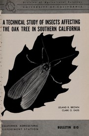 Cover of: A technical study of insects affecting the oak tree in southern California