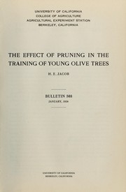 Cover of: The effect of pruning in the training of young olive trees