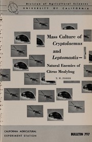 Cover of: Mass culture of Cryptolaemus and Leptomastix: natural enemies of citrus mealybug