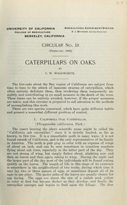 Caterpillars on oaks by C. W. Woodworth