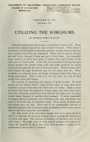 Utilizing the sorghums by Thomas Forsyth Hunt
