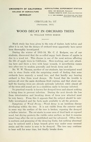 Cover of: Wood decay in orchard trees