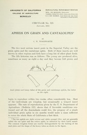 Aphids on grain and cantaloupes by C. W. Woodworth