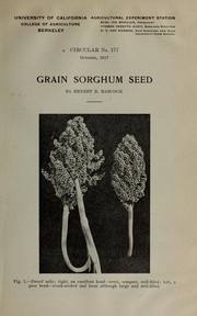 Cover of: Grain sorghum seed