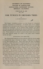 Oak fungus in orchard trees by A. H. Hendrickson