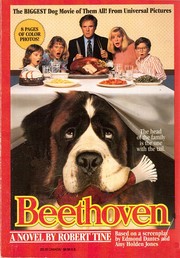 Cover of: Beethoven: a novel