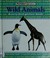 Cover of: Wild animals