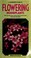 Cover of: A Gardener's Guide to Flowering Houseplants