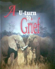 A u-turn to grief by Soji Obebe