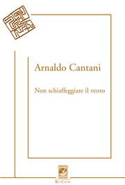 Cover of: Non Schiaffegiare Il Vento