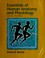 Cover of: Essentials of human anatomy and physiology