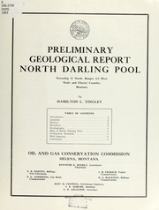 Preliminary geological report North Darling Pool by Hamilton L. Tingley