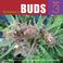 Cover of: The Big Book of Buds, Volume 3