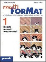 Cover of: Multi ForMat. Moduli per la formazione matematica. Per il biennio vol.4