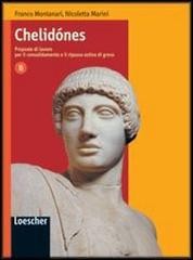 Cover of: Chelidónes: Proposte di lavoro per il consolidamento e il ripasso estivo di greco. Vol. B. Per il Liceo classico