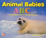 Animal Babies ABC [big book]
