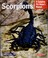 Cover of: Scorpions