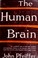 Cover of: The human brain.