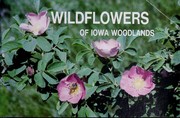 Cover of: Wildflowers of Iowa woodlands