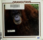 Cover of: Orangutans by Lynn M. Stone